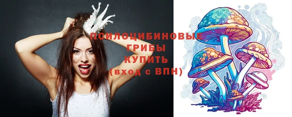 твердый Белоозёрский